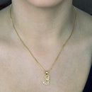 Pingente Pet Dog com corrente folheado ouro 18k